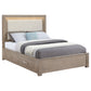 Kenora 56-inch Queen LED Storage Bed Barley Brown