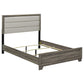 Wright 52-inch Upholstered California King Bed Brown Oak