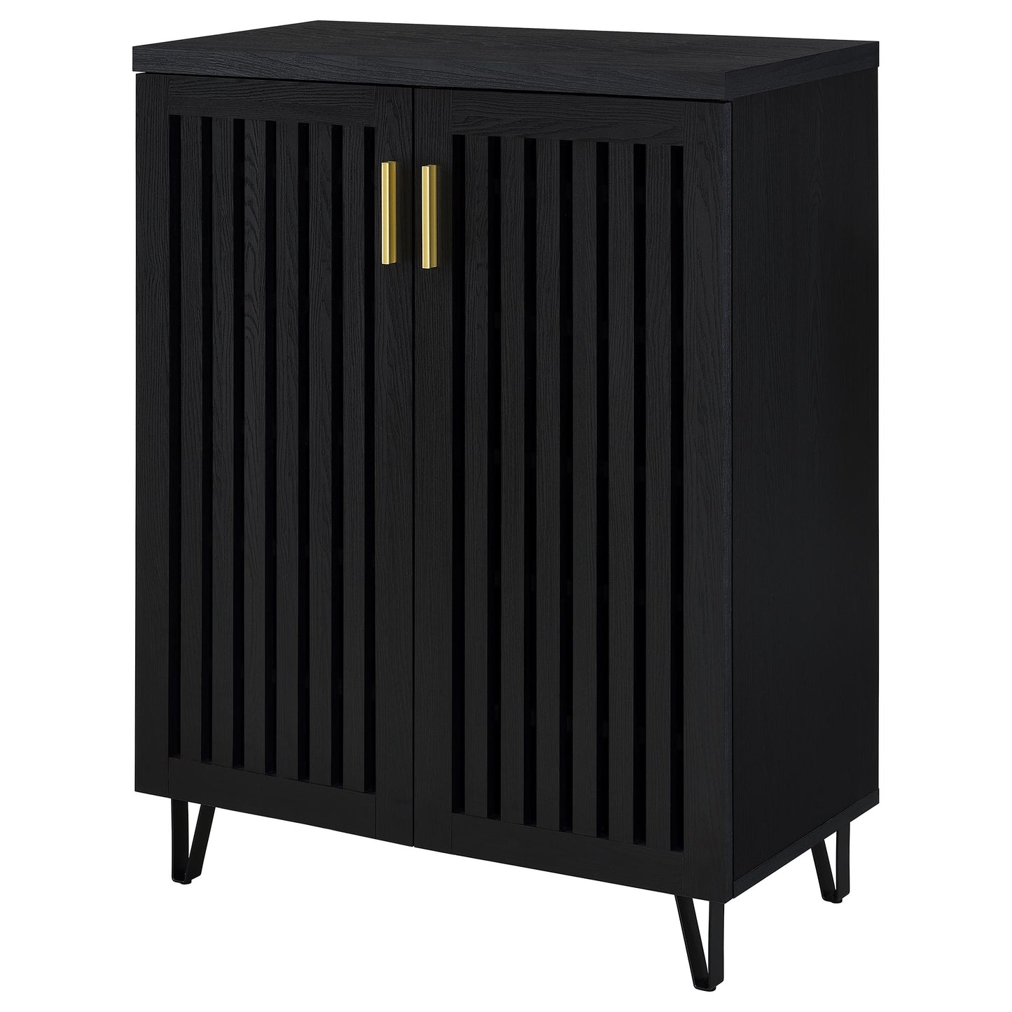 Brixton 2-door Entryway Shoe Storage Cabinets Black