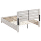 Brantford Wood Queen Storage Panel Bed Coastal White