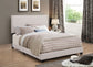 Boyd Upholstered Eastern King Panel Bed Ivory